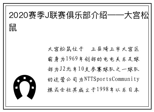 2020赛季J联赛俱乐部介绍——大宫松鼠